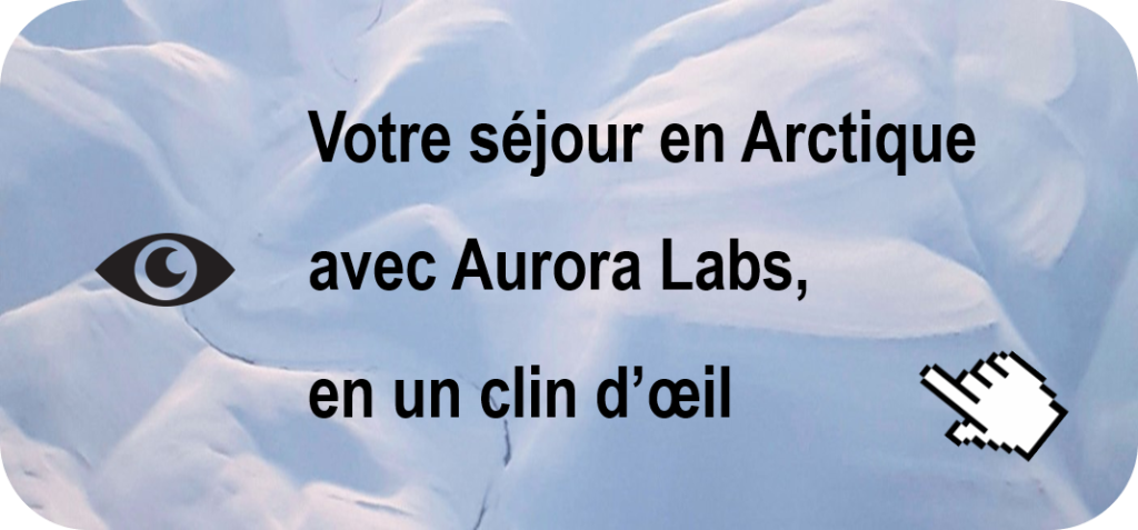 Votre séjour en Arctique avec Aurora Labs, en un clin d’œil